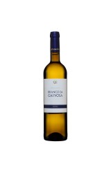 Branco da Gaivosa